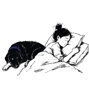 愛犬