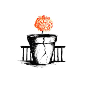 《繡球密碼》變格黑湯
