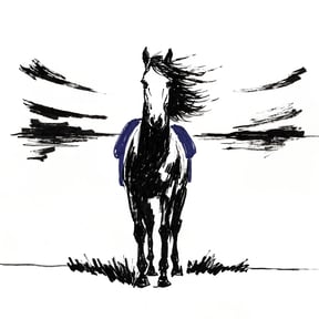 一匹馬